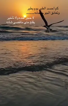 #اكسبلور #fyp #استوريات🖤mix🥀 