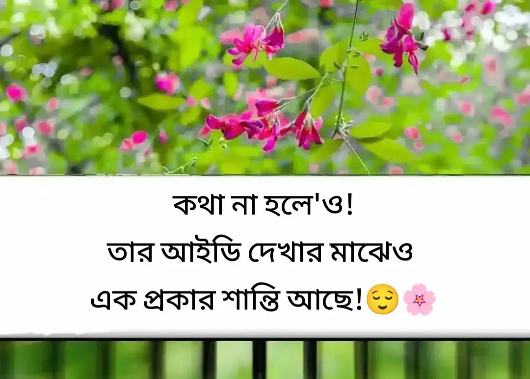 কথা না হলে'ও! তার আইডি দেখার মাঝেও এক প্রকার শান্তি আছে