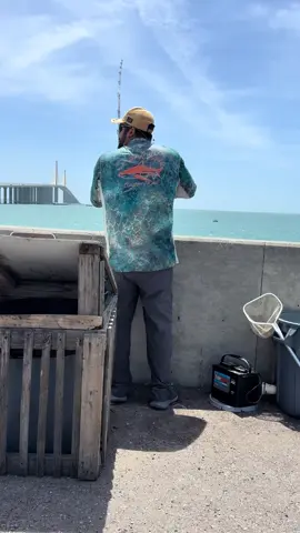 Santos AKA Sharkvato At it Again King Mackerel #Scustom #skywaymisfits #fishlikemisfits #reelqualitysra #xyzbca #sharkvato #fishbigmoney #customgaff #gaff #skywayfishingpiers #TampaBay #pilchard #fishing #fish #fishinglife #fisherman #kingmackerelfishing #kingmackerel #KingMack #smoker #livebait #bridgemonsters #bridgefishing #fishtok #fishingtiktoks 