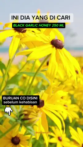 MADU HITAM  #maduhitam  #backgarlic  #fypage  inilahsku♥️