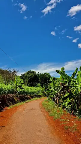 cantik banget view nya tapi sayang jalanan nya jelek huhuhu  #sukabumi#viral#fyp 