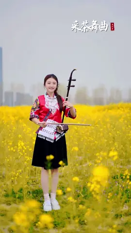 采茶舞曲 - Cai cha wu qu #二胡 #民乐 #看见音乐计划 #chinesemusic #musicmandarin #viralpost #fyp #erhu #instrumental
