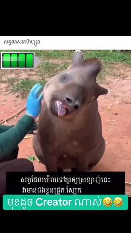 🤣🤣🤣🤣