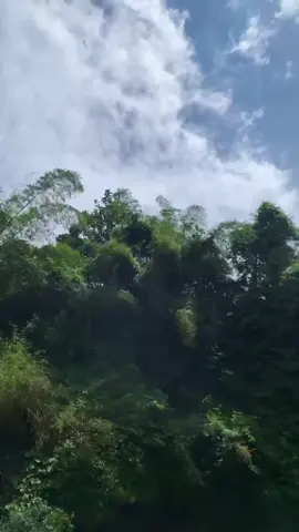 cara terbaik untuk mencari ketenangan ialah merefresh isi pikiran🤯 #wisataalam#masukberanda  #fyp#curugkuningan #sorotan 