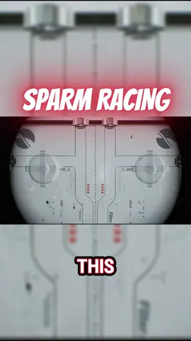 SPERM RACE🔥🔥 #fyp #f #fypviralシ゚ #a #shorts #youtubeshorts #shortsvideo #ytshorts #spermracing #sper #curlyhair #race #ucla 
