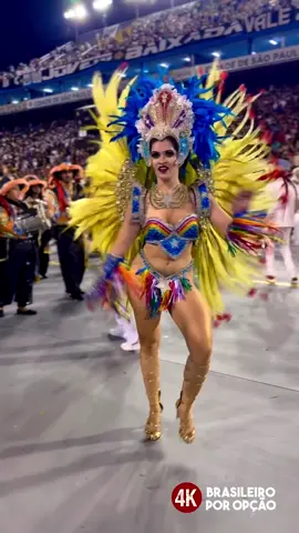 Torcida Jovem, Desfile Oficial 2025 Grupo de Acesso 2, Carnaval de São Paulo 