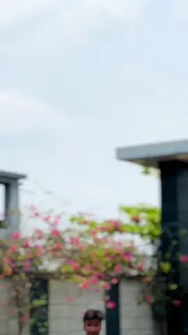 @# #viral #viral #viral #viral #viral #viral #viral #viral #viral #viral #viral #viral #viral #viral #viral #viral #viral 