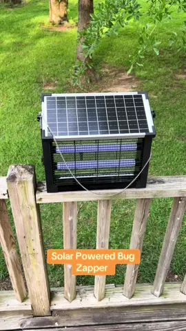 Nobody likes the bugs ! #springtok #bugzapper #tiktokshopcreatorpicks #fyp #solarpower #aprilrestock #giftsforhim #tiktokshopmademebuyit 
