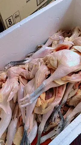 AYAM KAMPUNG READY  #ERVI FROZEN FOOD STORE  #fypシ゚ #frozenfood #GROSIR #agenfrozenfood 