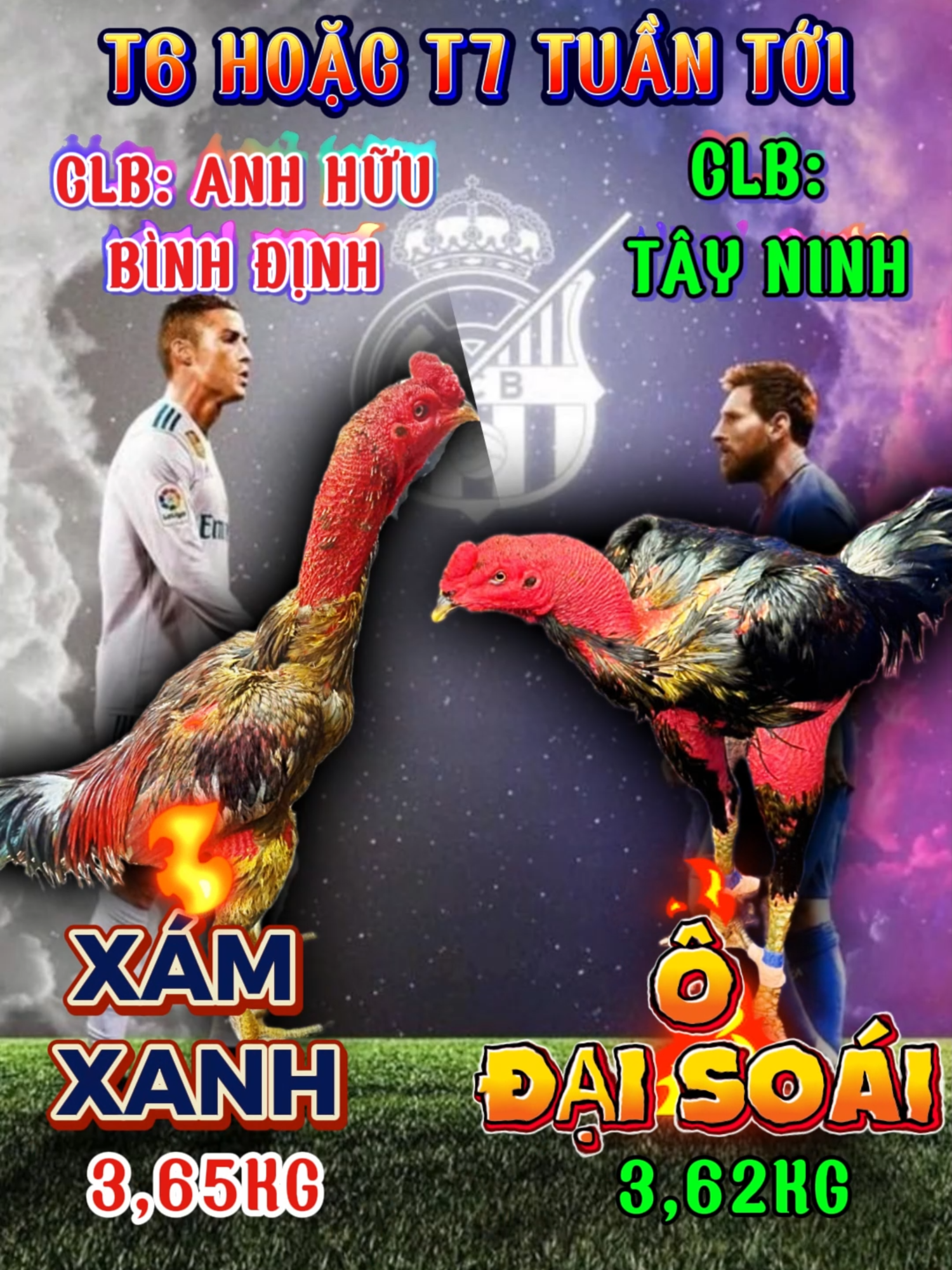 Ô ĐẠI SOÁI GỌI VÀ XÁM XANH ĐÃ TRẢ LỜI TRƯỜNG GÀ THOMO ĐẲNG CẤP SỐ 1 LUÔN LÀ NƠI CHO CÁC TRẬN THƯ HÙNG NẢY LỬA  XIN MỜI CÁC BẠN CÙNG THEO DÕI VÀ ĐÓN XEM  #TRUONGGATHOMO #TRUONGGA1986 #XUHUONG #GACHOIVIETNAM #HOIGACHOIVIETNAM #TIATATON #TRUONGGAQUOCTEC1