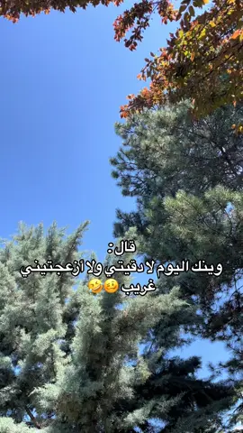معطلين 🤣🤣
