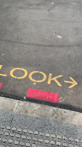 Actual place you should look left look right 😂😂😂#singapore #singaporetrending #sgelection #election #election2025 