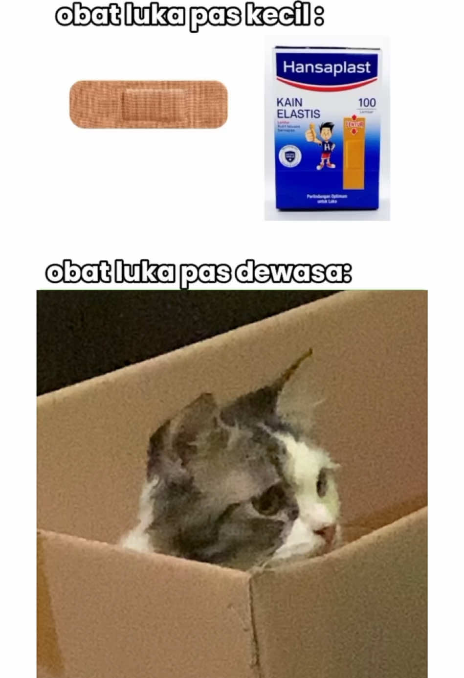obat yang beneran ampuh 🥹 #CapCut #trend #fyp #kucing #tiktok #template #templatecapcut #catsoftiktok 