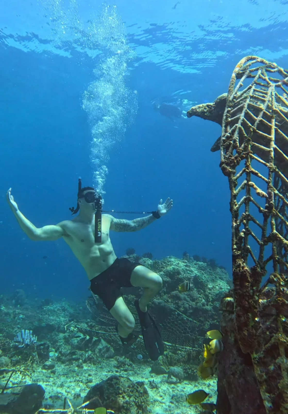 Soar beneath the surface 🦅 #underwater #beach #ocean #fyp #reels #trending 