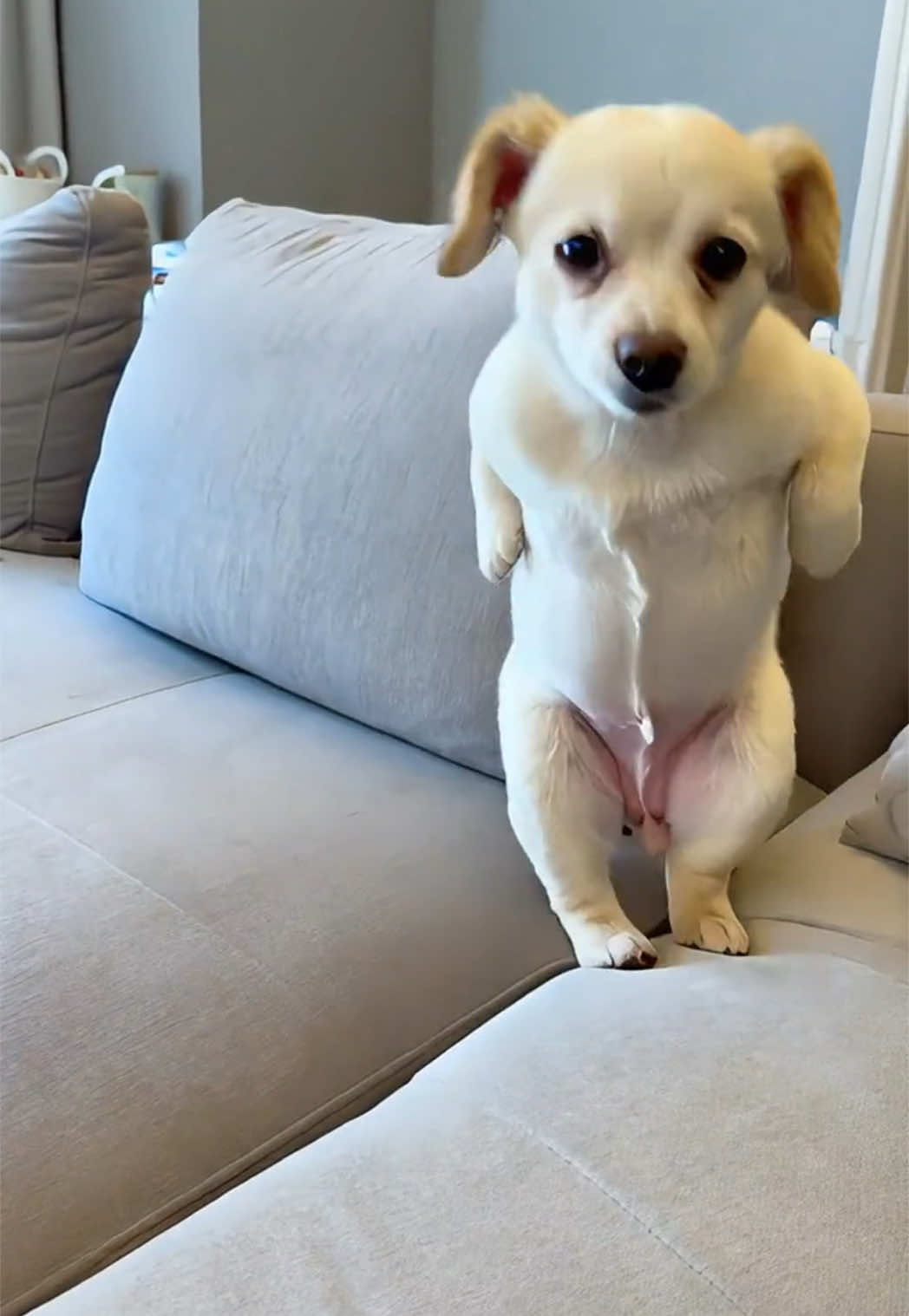 むりwww#ai生成 #aiダンス #ai 