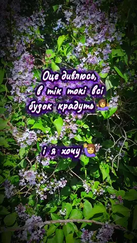 а вам вже дарували? #рекомендації #life #бузок #💐 