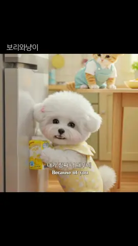 내가 징짜 너때문에