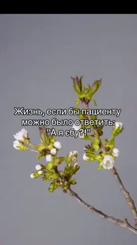#медицина #природа #рекомендации 