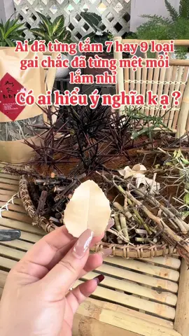 #Tắm gai trừ tà , tẩy uế khí lấy lại năng lượng mới 