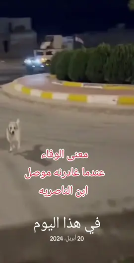 @أية الشمري💙🐆 @اعلاميه ايه خليل @🦋 #ناصريه_كوت_حله_سماوه_اربيل_دهوك_احبكم_ #بغداد_بصرة_موصل_الكويت_الخليج_دبي_ #مشاهير_تيك_توك_مشاهير_العرب 