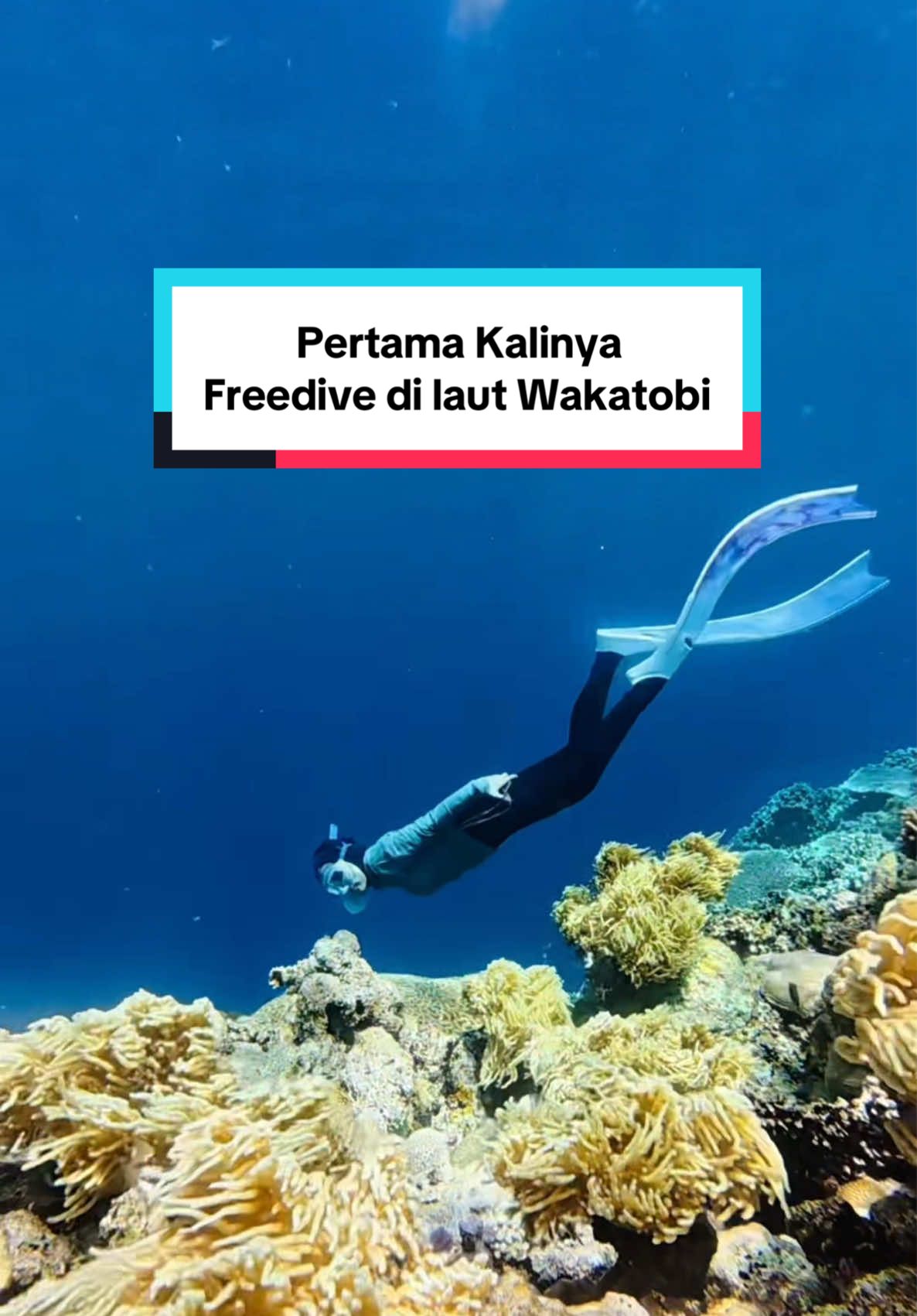 Traumaku berubah menjadi jatuh cinta 😭❤️ #freediving 