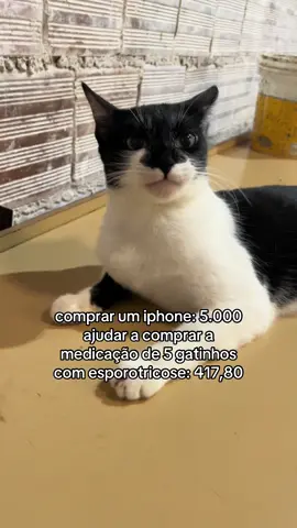 #fy #fyp por favor nos ajude compartilhando ou doando, nossos animais precisam de ajuda! 