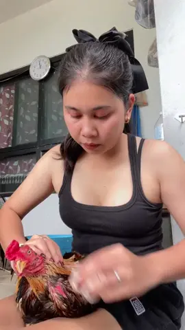 #ayambangkok