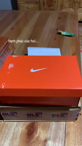 Hạnh phúc của toi⚽️🥇…#xuhuongtiktok #giaymoi #bongda #dutrend 