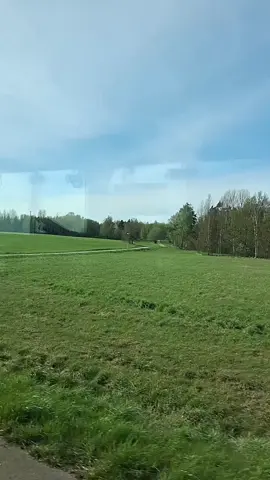 الشعب الصني ماله حل 