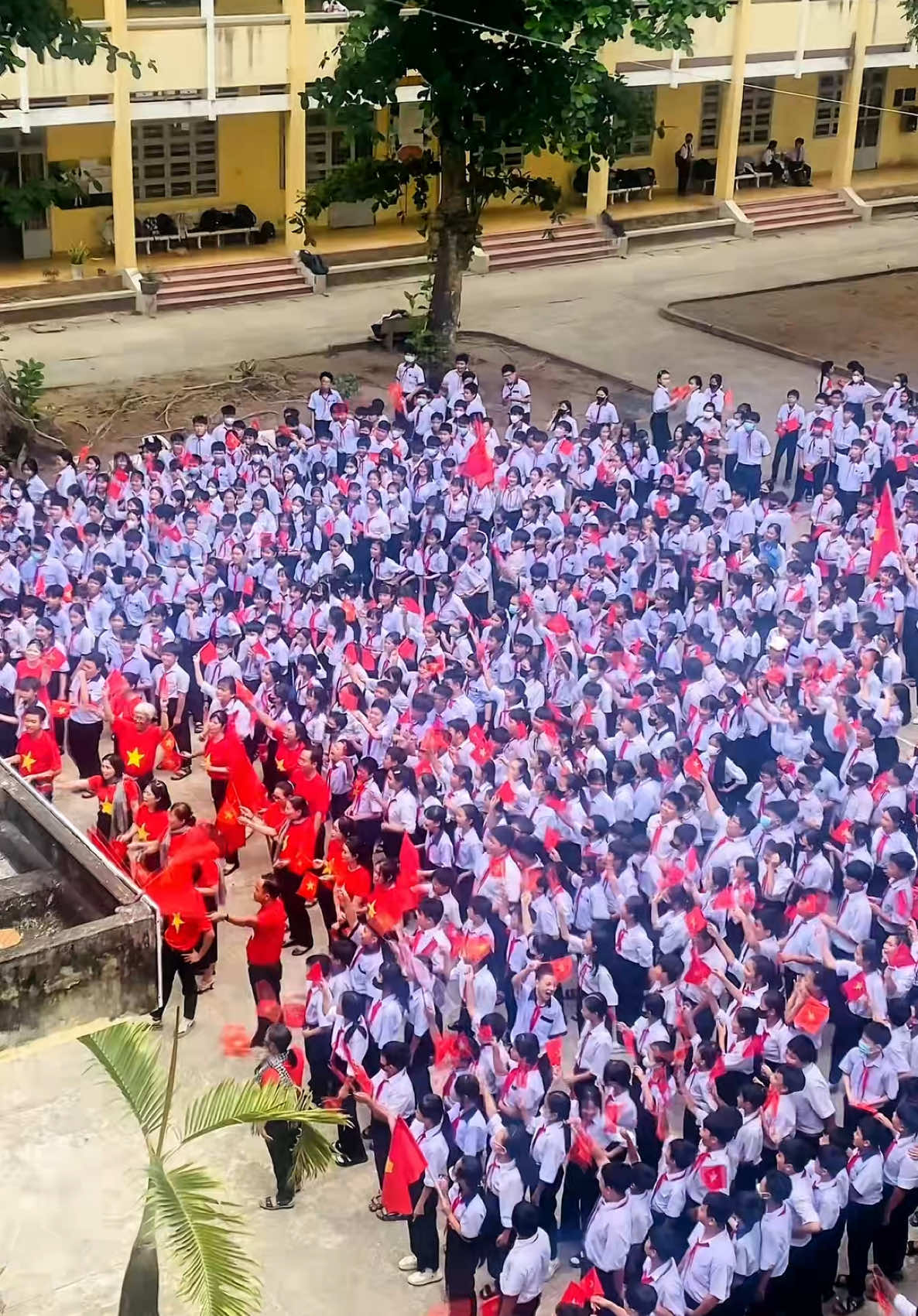 Tự hào là người Việt Nam * Trường THCS-THPT Giồng Dứa mừng 50 năm thống nhất đất nước #kiniemkhoquen #50nămgiaiphongmiennam #giaiphongmiennam #tiengiangquetoi63 #học_sinh #truonglop #kiniem 