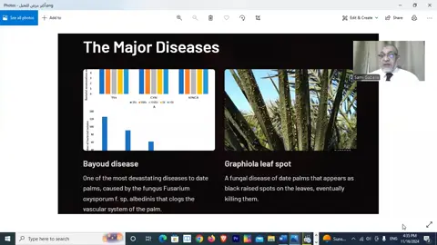 video1637656691 أهم الأمراض الفطرية والفسيولوجية التى تصيب نخيل التمر#مصر #السعودية #الإمارات #العراق #الأردن