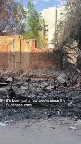 Just a few weeks ago the Sudanese army recaptured Khartoum, the capital city of Sudan after two years of civil war. But the destruction to the city known for its beauty and architectural history is devastating. Now a massive clean-up operation is underway in Khartoum, one that will likely take years and billions of dollars. #sudan