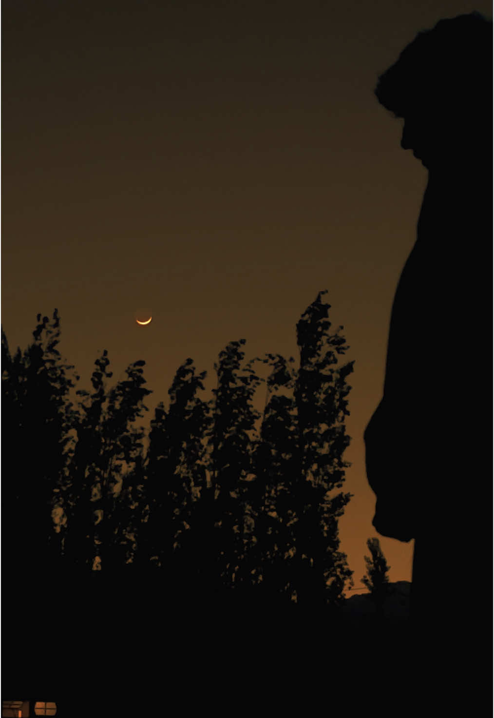 اور کر بھی کیا سکتا ہوں اپنی بے بسی پر ؟ بس ہنستا ہوں، روتا ہوں اور سو جاتا ہوں۔🥀❤️‍🩹#outdoorlife #Outdoors #outdoorliving #grow #viral #nightcore #deeplines #deepthoughts #deepclean #artsylog #moon #moonlight #moonknight #trendingsong #trendingvideo #viralvibes #growth #statustime09 #foryou #foryoupage 