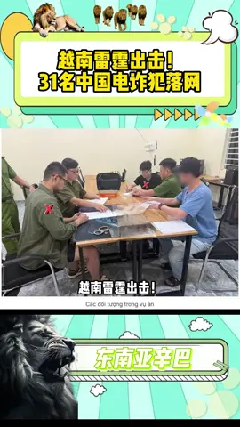越南雷霆出击！31名中国电诈犯落网 #越南反诈 #杀猪盘 #加密货币骗局