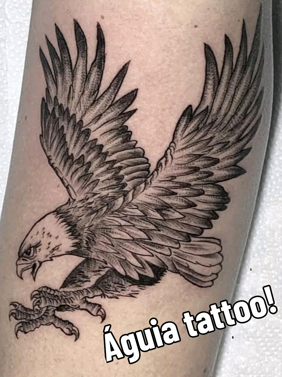 Água tattoo #tattoo #tatuagem #aguia 