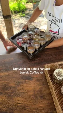 Part 6 | Dünyanın en pahalı kahvesi bir hayvanın dışkısından yapılıyor desek içer miydiniz? ☕️ Bali'de, dünyanın en pahalı kahvesinin yapıldığı yere gittik ve Luwak Coffee'nin büyüleyici üretim sürecini yakından gördük. ✨ #luwakcoffee #coffee #coffeelovers #balidiaries ##bali #balilife #kahve #fypage #viral #fyp #coffeeaddict #coffeetime #kahveseverler 