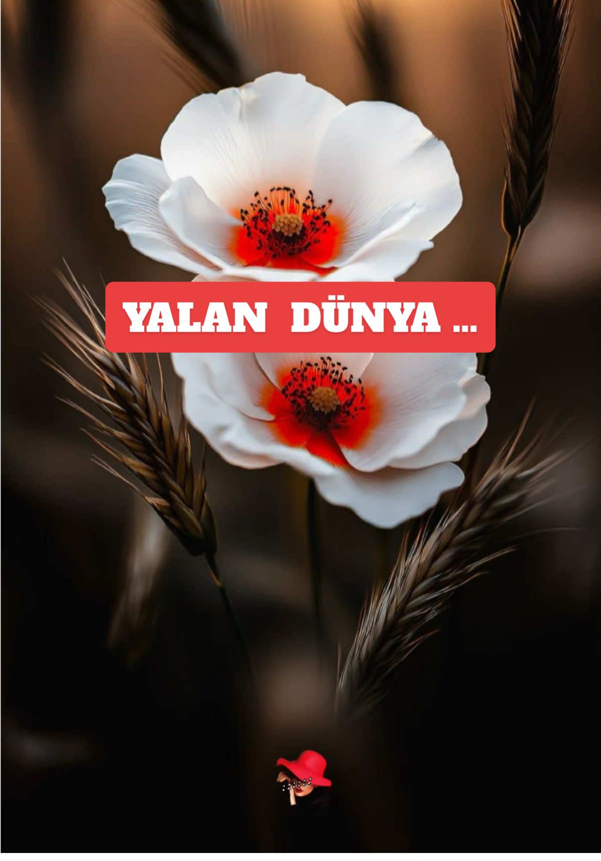 🧚‍♀️Dâr-ı Dünya…Yer üstünde yeşil yaprak..🍀🤍🕊️ #eşrefrüya #darıdünya #cemyıldız #tutkumsunsen #muhammetozkulmusicc #CapCut @Muhammetözkulmusic 