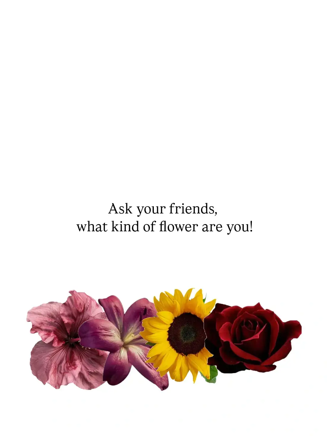 #friends #guess #game #flowers #fun #foryou #foryoupage #foryoupage #viral #viralvideo #viraltiktok #fypage #fyppppppppppppppppppppppp 