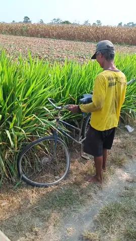 spurane pak rodok kesusu Ki mang 🤣🤣🤣🫢 #lucu_ngakak #random #lucu #meme 