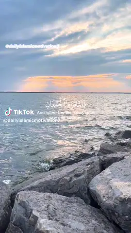 بسم الله الرحمن الرحيم ❤