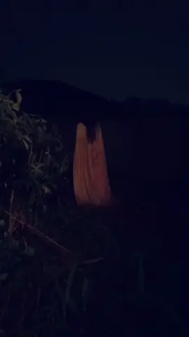 tangisan kuntilanak #fyp 