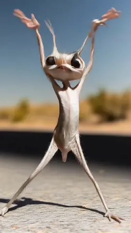 #funnyanimals #funny #funnytiktok 