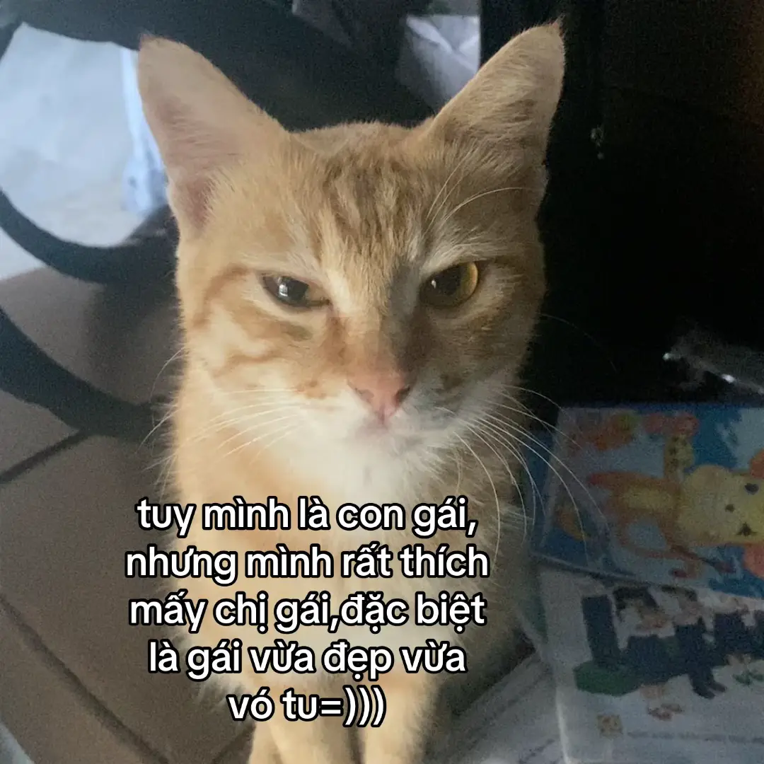 chắc có mình t cgai mà nvay😇