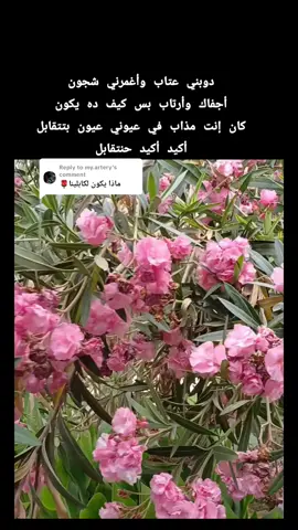 Replying to @my.artery  دوبني عتاب وأغمرني شجون أجفاك وأرتاب بس كيف ده يكون كان إنت مذاب في عيوني عيون  أكيد أكيد حنتقابل #أكيد_أكيد_حنتقابل #الكابلي#عبدالكريم_الكابلي #دوبني_عتاب #طرب_سوداني #أغاني_سودانية #غنانا_السمح #سودانيز_تيك_توك_مشاهير_السودان #explore #Ha_La #viraltiktok #fypシ゚ 