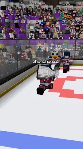 Congratulations to the Freedom 🔥 #hockey #mincecraft #minecraftserver #minecraftsports