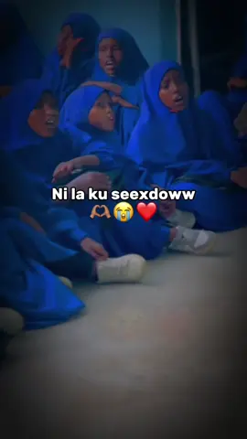 nin la ku seexdoww ha seexan🫶🏽😭❤️#_zamoww💕😍 #followme😭💔 