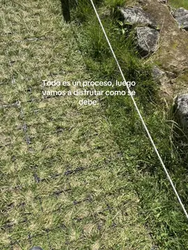 #machupicchu #cusco_peru🇵🇪 #maravillasdelmundo #frasesmotivadoras #fyppppppppppppppppppppppp #paratiiiiiiiiiiiiiiiiiiiiiiiiiiiiiii 