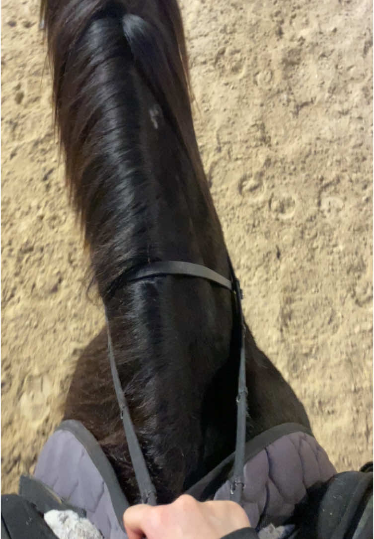 احلى تجربة 🐎#جدة #اسطبلات #اسطبل_الما_للفروسيه#alma#خيل_وخياله🐎 #مزرعة #الشعب_الصيني_ماله_حل😂😂 #اكسبلور #viral #tiktok #trending @Alma Equestrian #فروسية 