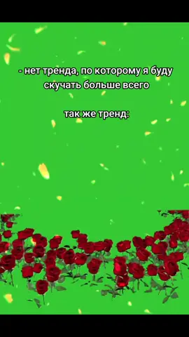 он был той прекрасной зимой, когда тётя с новогоднего обращения Путина стала первым мемом в году и форсился звук 