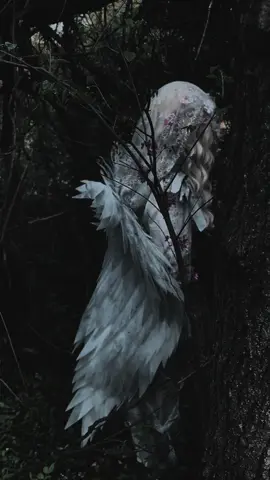 “Despite their initial seeming simplicity, few accounts and interpretations can actually agree on the nature and actions of a banshee. In fact, it is even unclear precisely what sort of a creature the banshees are! Are they ghosts, ghouls, apparitions, fairies? Are they meant to be a counterpart for sirens? The truth is, we simply don’t know, as various accounts describe the banshee in a myriad different ways. It has even been suggested that the banshee may simply be powerful enough to change her appearance at will, appearing as either a ghost or fairy as she pleases. The accounts disagree even with regard to the banshee’s lamenting. While all agree that her screams are blood-curdling and terrifying, there is no consensus as to who precisely can hear the screams of the banshee – or even to her own motives. The Irish believed that only members of a pure Irish bloodline could ever hear a banshee’s wailing; others seemed to believe that only those who were soon to die could hear the cries of a banshee. Some accounts suggest that the banshee may be the ghost of a woman brutally murdered or wronged by a specific family, who would then find a wild delight in prophesising the death of the family’s members. Others yet suggest that the banshee was uniquely tied to a specific family, not because of revenge, but because of love, and her cries were a warning, instead of a victory song.   Whatever their motives or their appearance, it is important to remember that the banshees cannot actually cause death. Their singing, or lamenting, is merely an omen, a warning, a chance to say your goodbyes and get your affairs in order. The banshees are no executioner – they are, merely, an omen of death”  (https://folklorescotland.com/the-banshee/) • MASK: @Salem Devane's Phantasmagoria  COSTUME: Hand-Me-Down-Horror VIDEO: Ezmay • #banshee #thebanshee #fypシ゚ #fypシ゚viral #fyp#fypシ#ghost #paranormal #horrortiktok #horrortok #haunter#hauntings#eastcoasthaunters#eastcoasthauntersconvention#transworldhauntshow#mask #hauntedhouse#asylum 